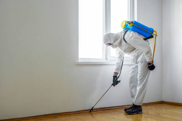 Indoor Pest Control in Broadview Park, FL